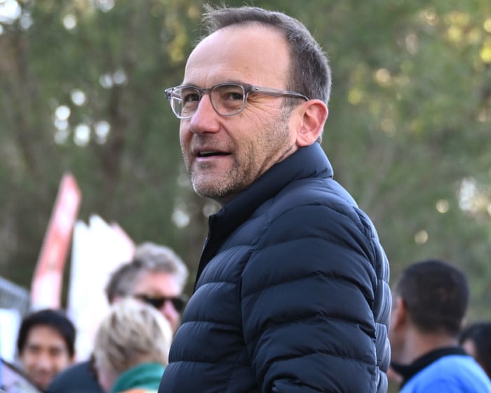 Senior Greens figures say new leadership must stop Labor approving fossil fuel projects ‘by whatever means’