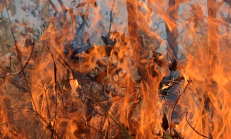 A fire burns a tract of the Amazon jungle near the Xavante indigenous people's land in Pimentel Barbosa, Mato Grosso state, Brazil September 4, 2019. REUTERS/Lucas Landau