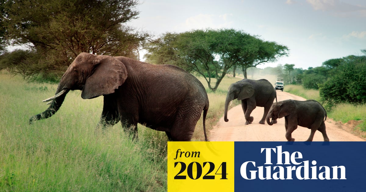 World Bank suspends Tanzania tourism funding after claims of killings and evictions