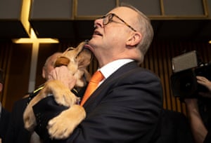Prime Minister Anthony Albanese is greeted by 14 month old Golden Retriever puppy “Sissie” at a Vision Australia event in Parliament House, Canberra .