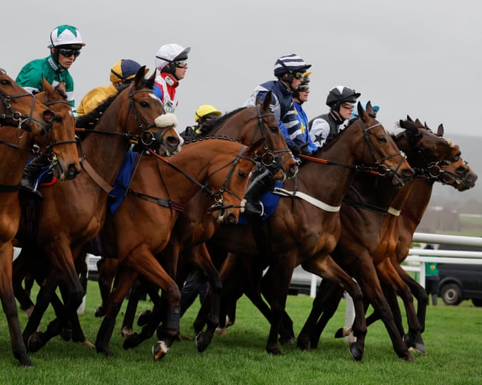 Cheltenham festival crackdown aimed at stalling significant rise in false starts