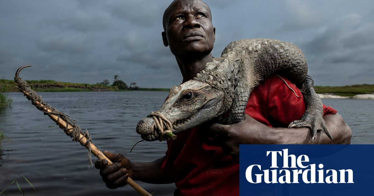 A dwarf crocodile carried home by a hunter: Thomas Nicolon's best photograph