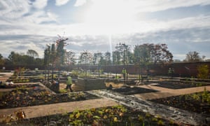 Tree planting in the Paradise Garden at RHS Bridgewater