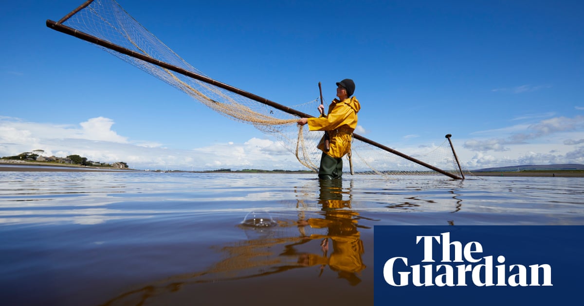 Viking fishing on the river Lune