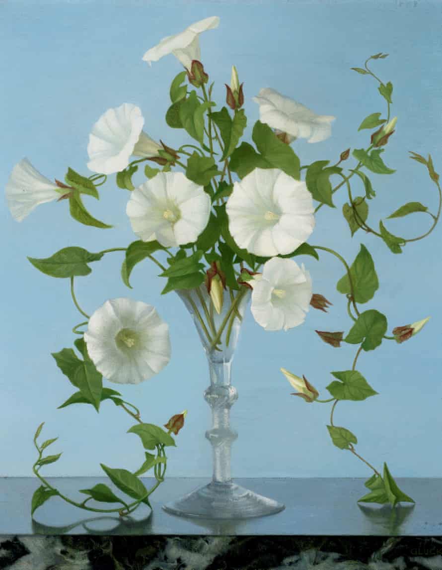 Convolvulus by Gluck, 1940.
