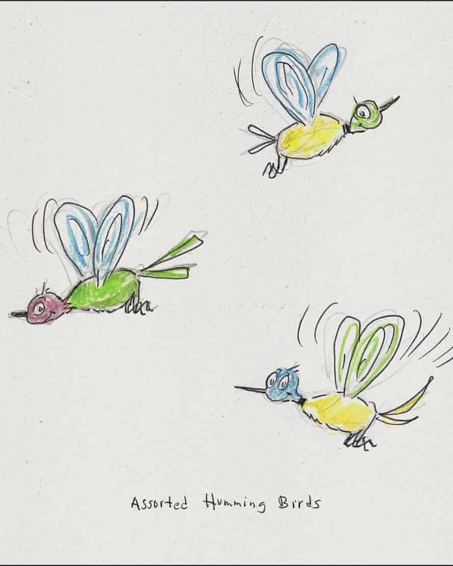 Sketches of hummingbirds by Dr Seuss.