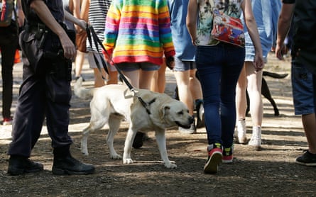 Police officers and drug detection dogs walk among festivalgoers at Splendour in the Grass 2016 in Byron Bay.