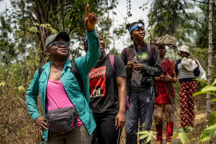 Iroro Tanshi, left, wearing a teal shirt, pointing something out to her team members in the forest in Etankpini village in Odukpani, Cross River State, Nigeria.