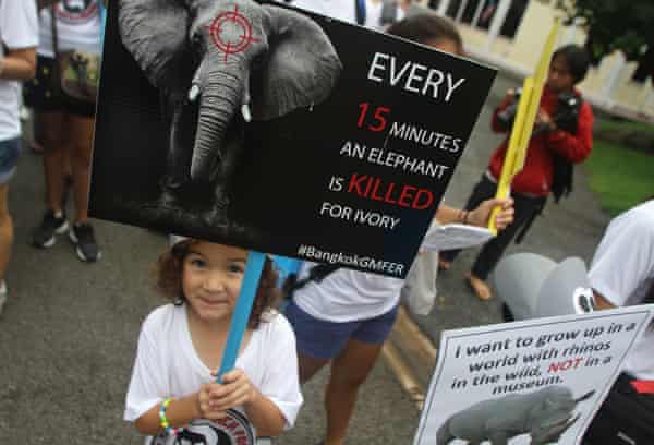 en marsj mot ulovlig handel med elfenben og neshorn horn den 24.September 2016 I Bangkok, Thailand.En marsj mot ulovlig handel med elfenben og neshorn horn den 24. September 2016 I Bangkok, Thailand. Fotografi: Vichan P/Pacific/Barcroft Bilder