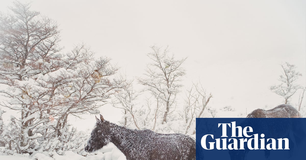Strong, silent types? Meet the puesteros of Chile