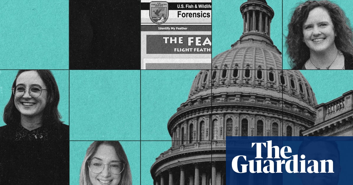 ‘Things were going dark left and right’: the race to save US government datasets before they’re deleted
