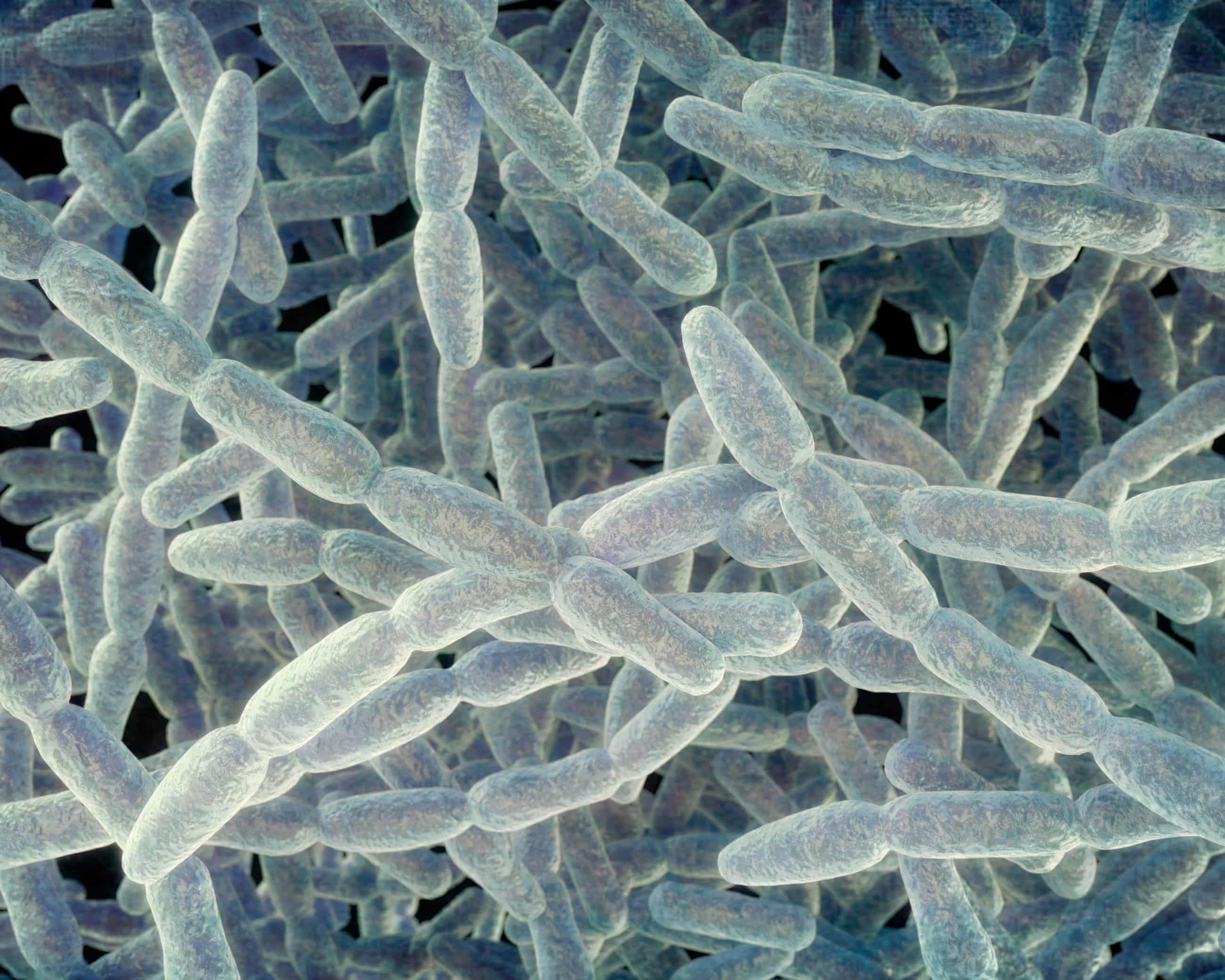 Fifth Legionnaires death in NYC outbreak