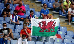 Italy v Wales - fan holds up flag