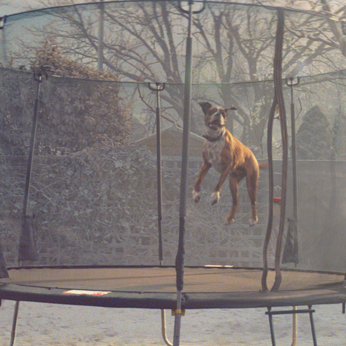 Never Mind John Lewis Here S The Tv Advert Music It S Impossible To Forget Music The Guardian