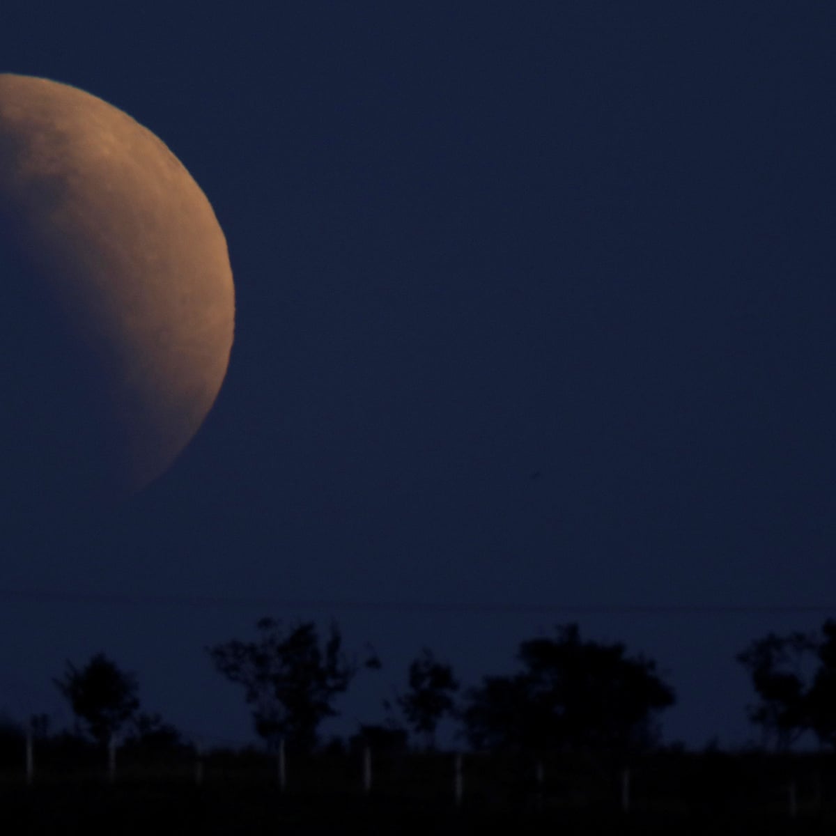 Lunar Eclipse 2019 From Australia To Uk Stargazers Enjoy Bright Side Of The Moon Lunar Eclipses The Guardian