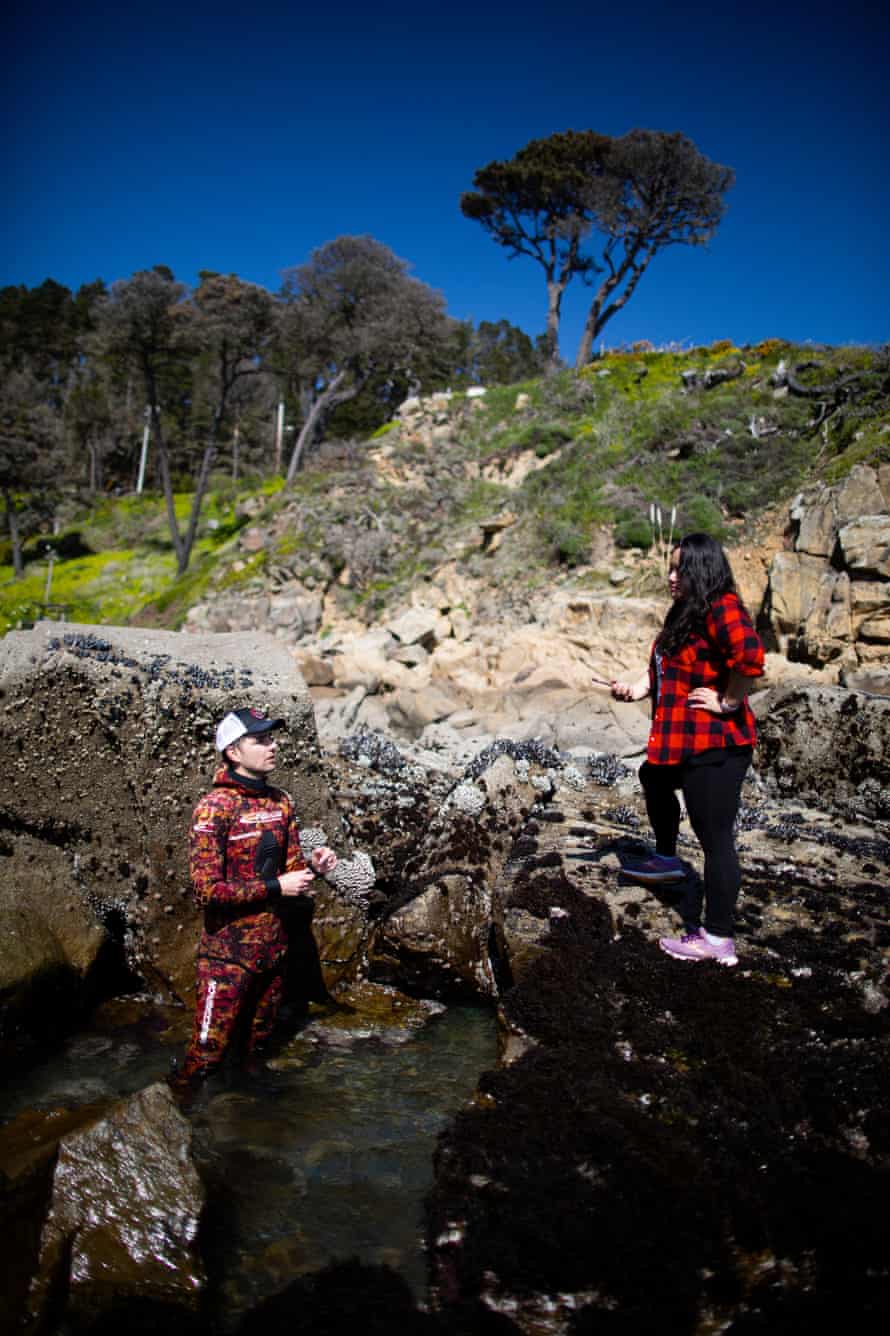 The Solution To California S Rampant Sea Urchin Problem Is To Eat Them I Gave It A Try California The Guardian The Solution To California S Rampant Sea Urchin Problem Is To Eat Them I Gave It A Try California The Guardian