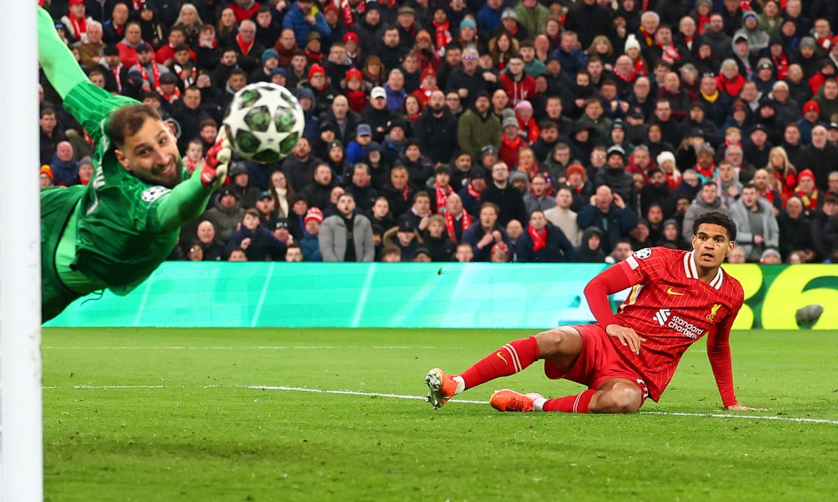 T-shirt Evanescence Fallen - 100% Coton - Couleur Noire - Taille S à 3XL - Unisexe - Personnalisable