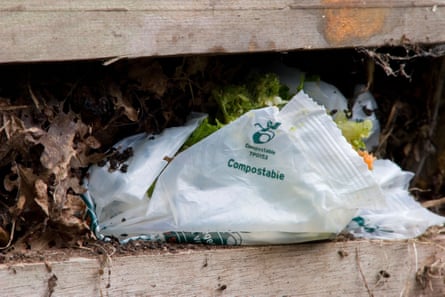 A ‘compostable’ bag remains intact despite being in a compost heap.