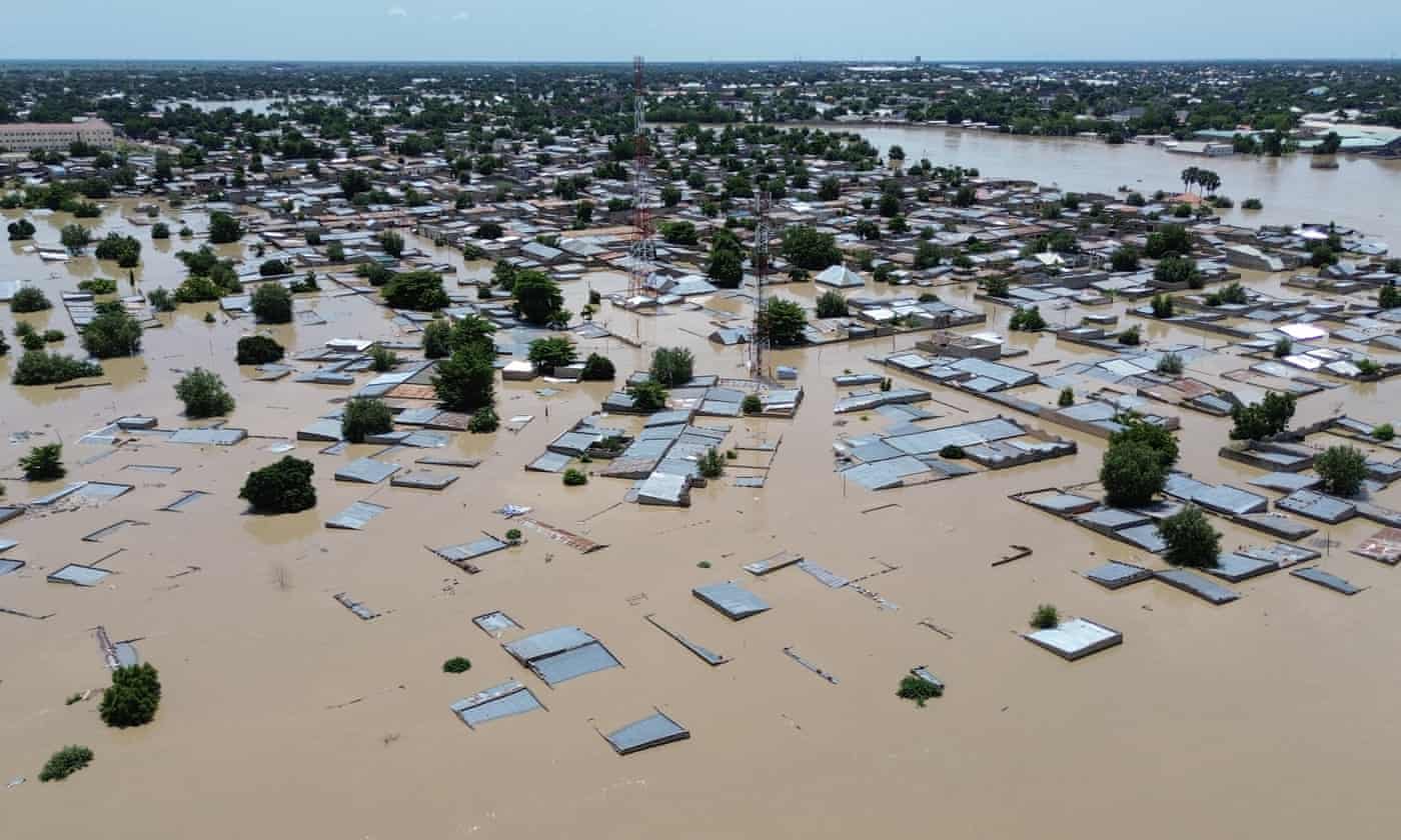 Crocodiles and snakes ‘washed into communities’ as flood hits Nigerian zoo