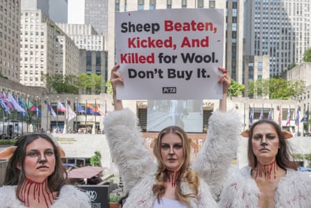 a woman holds up a sign against wall between two women, all of whom are dressed like sheep and have red paint on their necks
