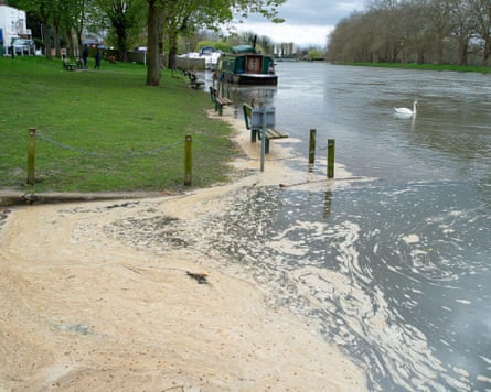 A river scene featuring a narrowboat and a swan with sewage floating in the foreground.