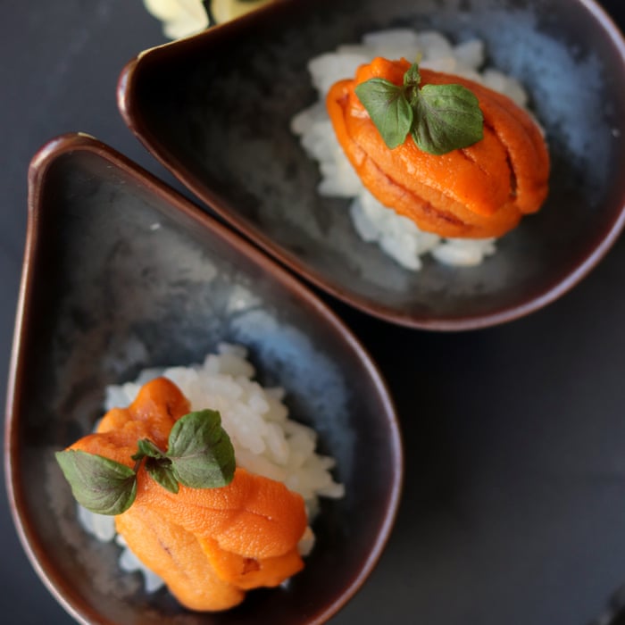 Why Sushi Could Be The Solution To A Sea Urchin Invasion Oceans The Guardian