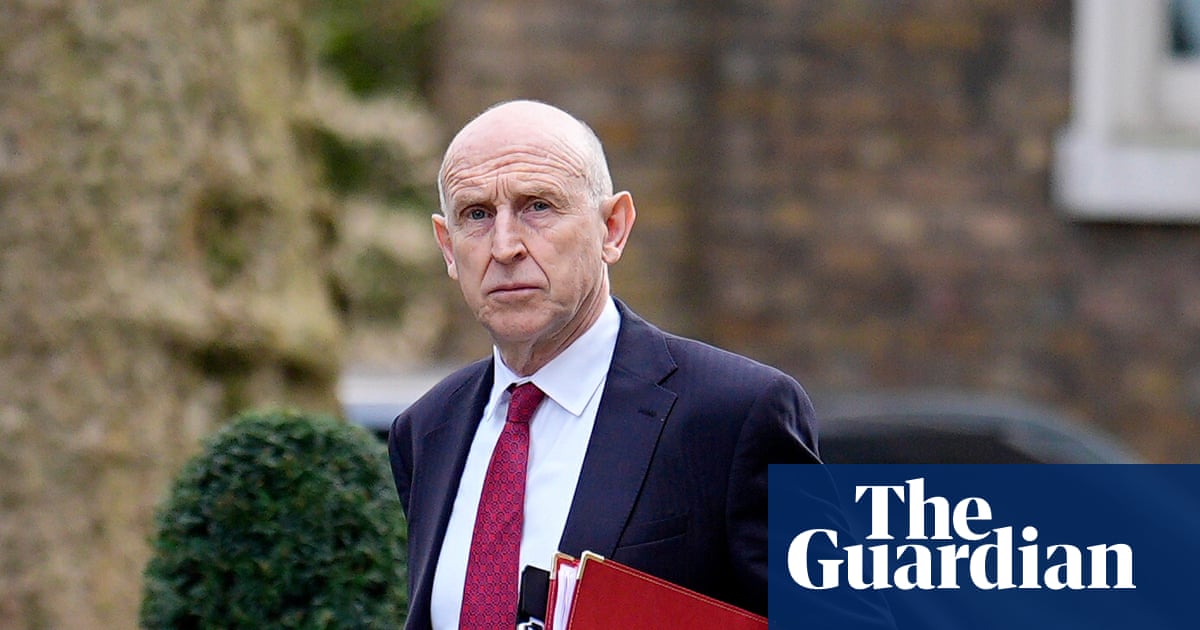 Defence secretary accuses MPs of deliberately undermining UK's relationship with Trump