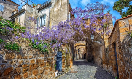 Tambalan ungu: wisteria bermekaran di kota tua Orvieto yang bersejarah.