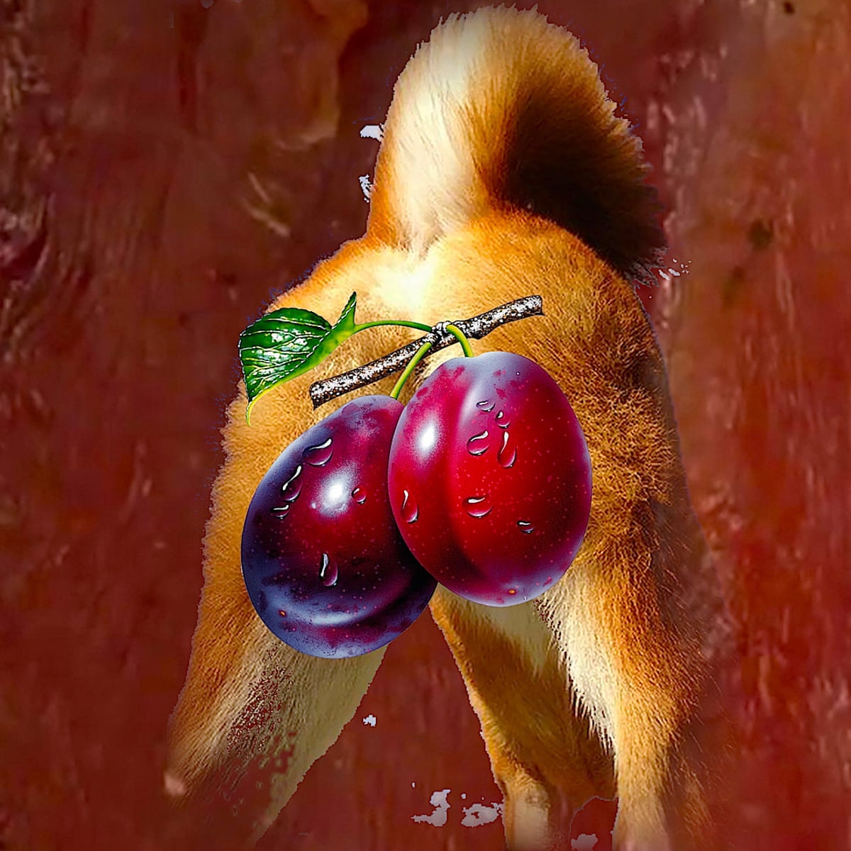 It S Great If You Re Bored With Netflix Video Art Flourishes In Lockdown Video Art The Guardian It S Great If You Re Bored With Netflix Video Art Flourishes In Lockdown Video Art The Guardian