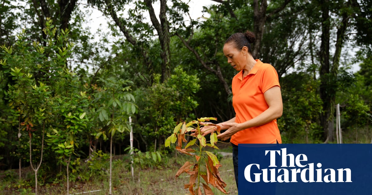 ‘People shouldn’t expect there will be water in their taps every day’: why is St Lucia running out of water?