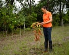 ‘People shouldn’t expect there will be water in their taps every day’: why is St Lucia running out of water?