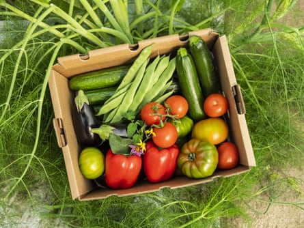 A box of CrowdFarming seasonal fruit.