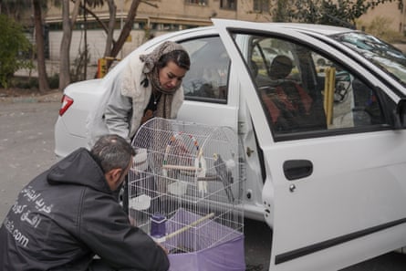 A woman hurriedly shoves a few of her belongings into a car, carefully placing a cage with her two cockatiel birds on the passenger seat