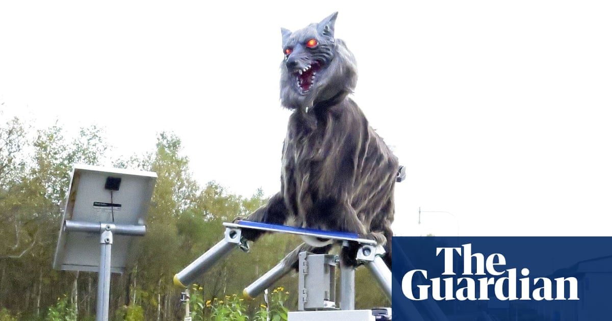 Japanese town deploys Monster Wolf robots to deter bears