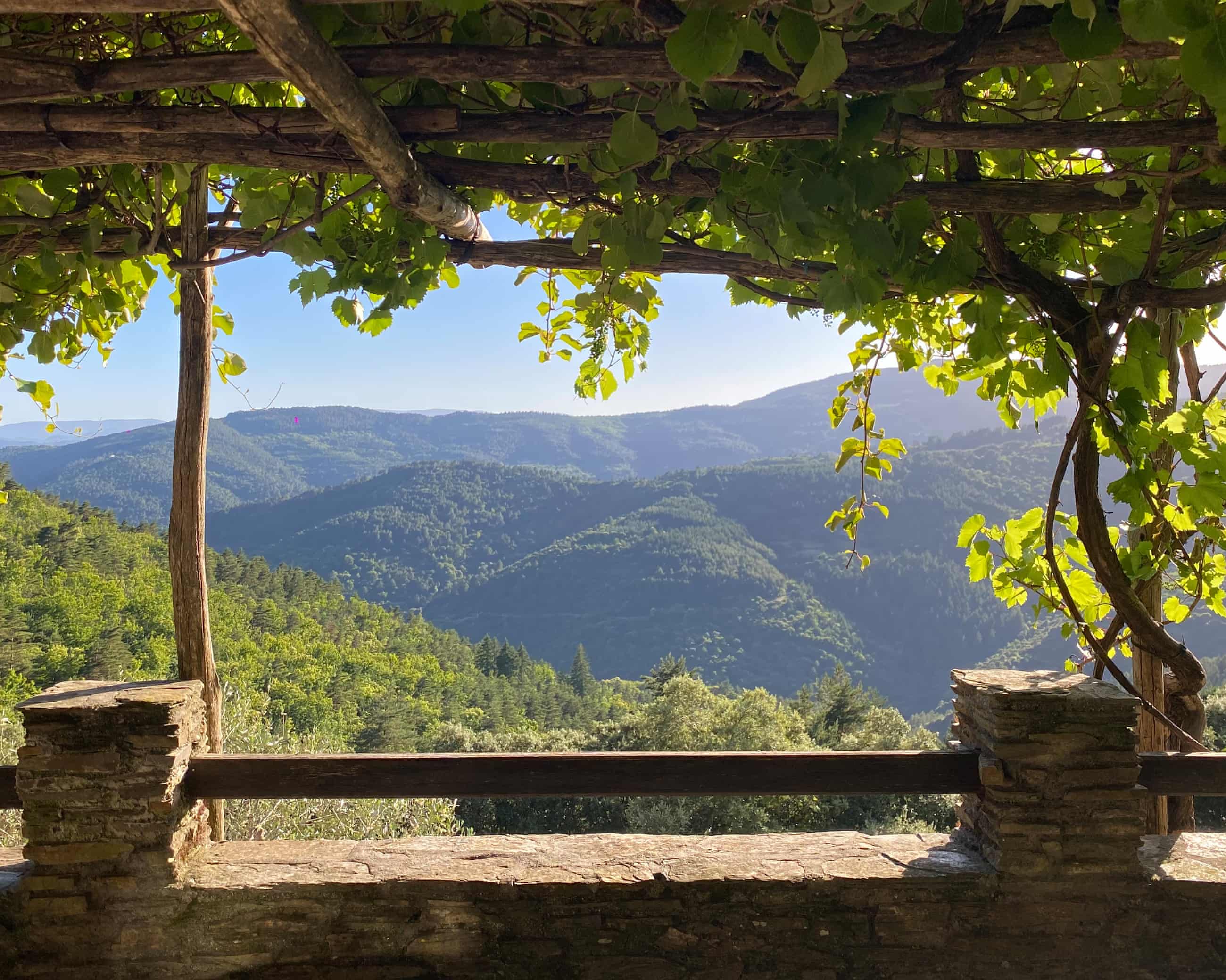 Grape vines on a veranda pergola frame a view of forested hills near Saint-Hilaire-de-Lavit
