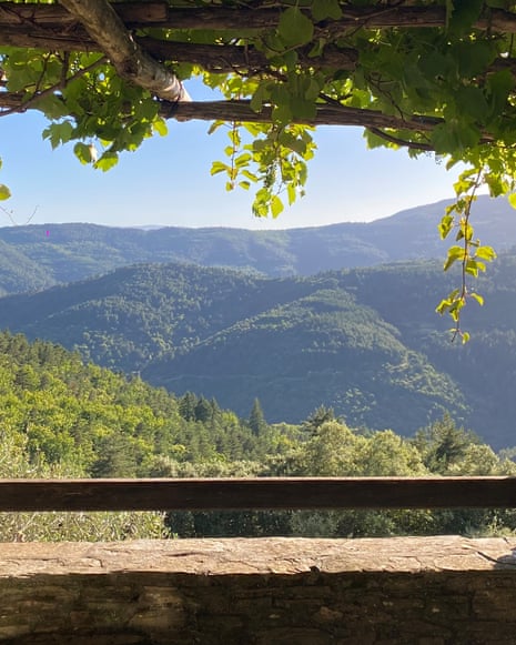 Grape vines on a veranda pergola frame a view of forested hills near Saint-Hilaire-de-Lavit