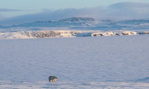 The Arctic island of Novaya Zemlya where the US has long claimed to suspect Russia could be carrying out low-yield nuclear tests. 2978.jpg?width=300&quality=85&auto=forma
