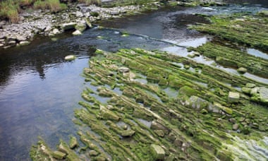 Rock strata form the bed of the Afon Aeron.