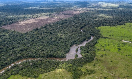 An illegal deforestation discovered by the Uru-Eu-Wau-Wau on 15 Dec ember 2019 is seen in the left of the image. In the right is seen an illegal deforestation for cattle pasture.