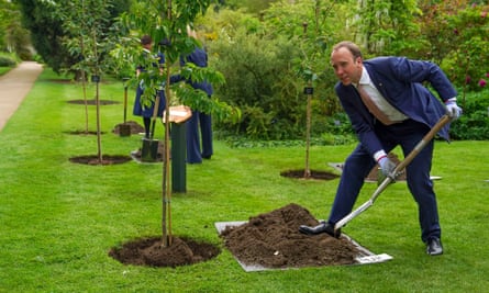 Matt Hancock planting a tree