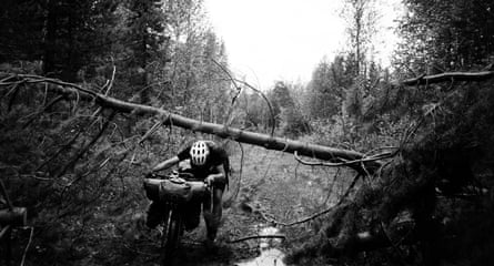 Crossing endless forests in Sweden