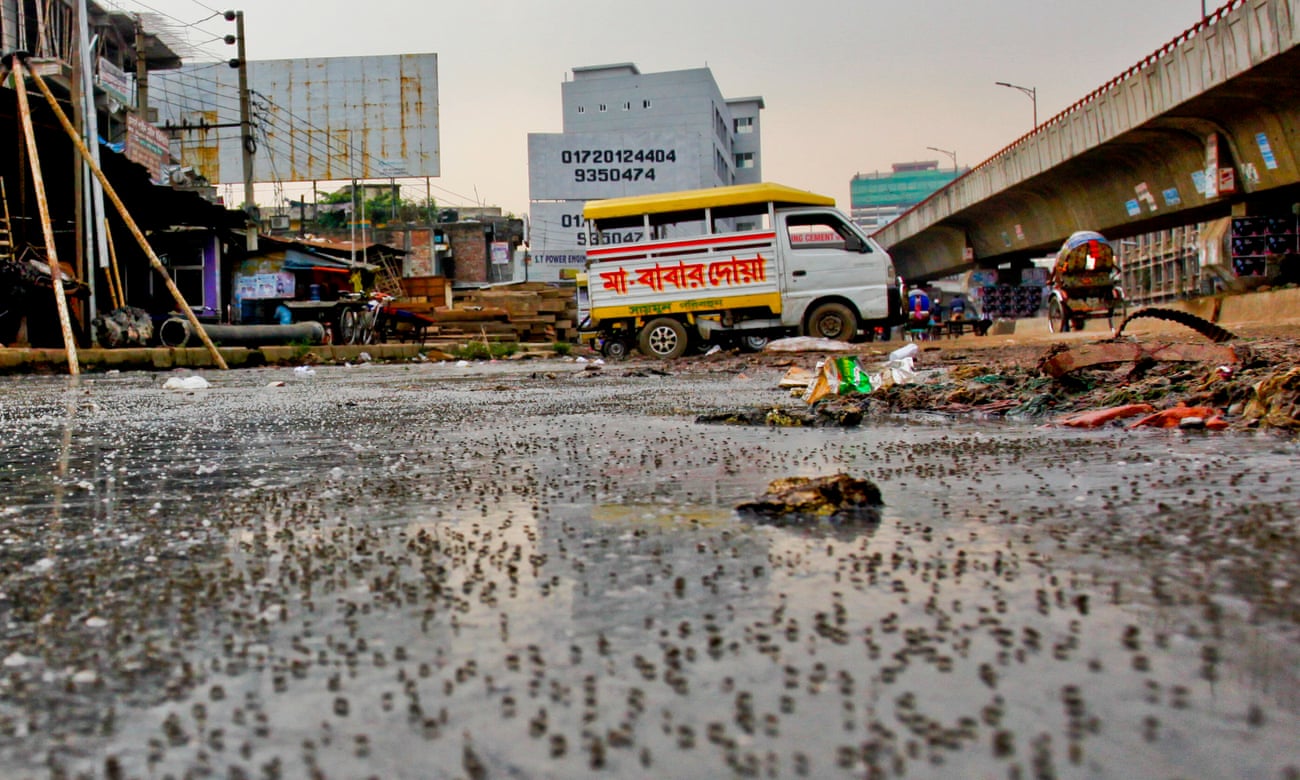 Dhaka sewage on streets