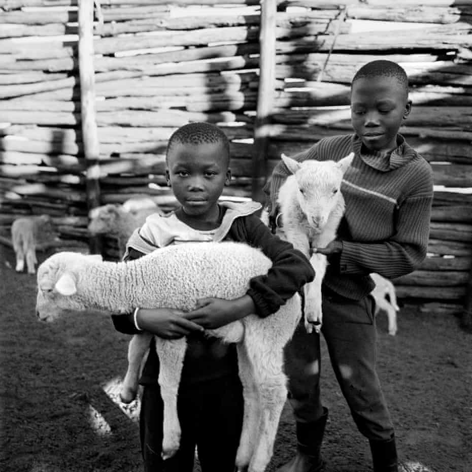 Sindi’s Sons with Lambs, Idutywa, South Africa, May 2009.