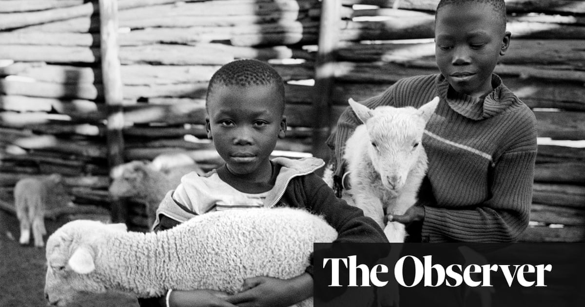 The big picture: a moment of tenderness on the Western Cape