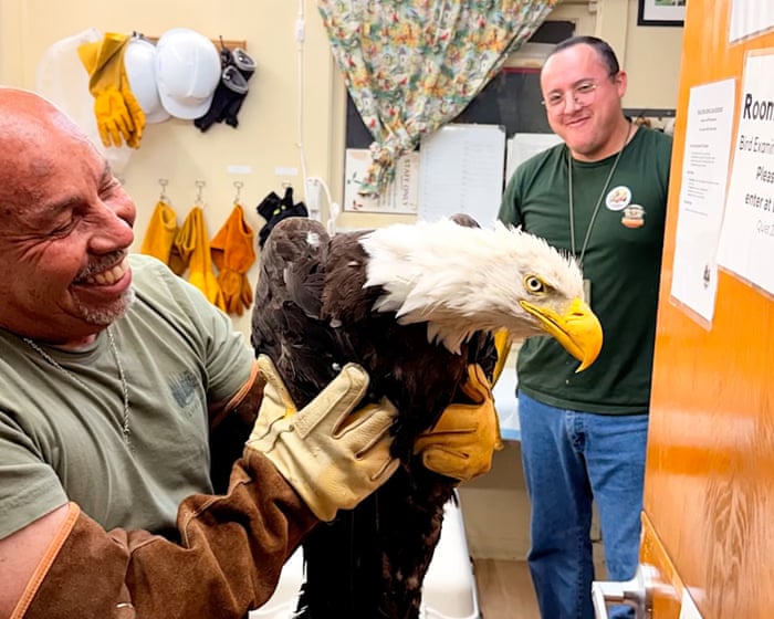 Big Bear’s missing bald eagle believed to have been found alive but injured