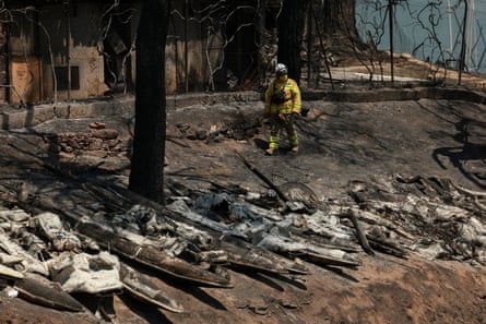 A man in a bright yellow firefighter uniform walks though a burned forest