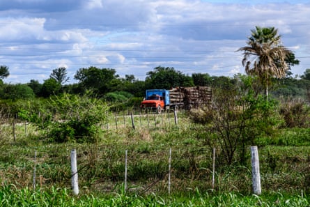 A truck filled with wood is pictured leaving the Gran Chaco forest.