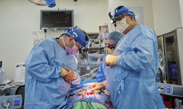 A surgical team prepares for the transplant of a genetically modified pig heart