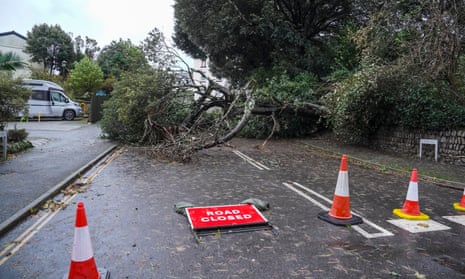 A tree brought down overnight blocks the road at Castle Hill in Falmouth, Cornwall.