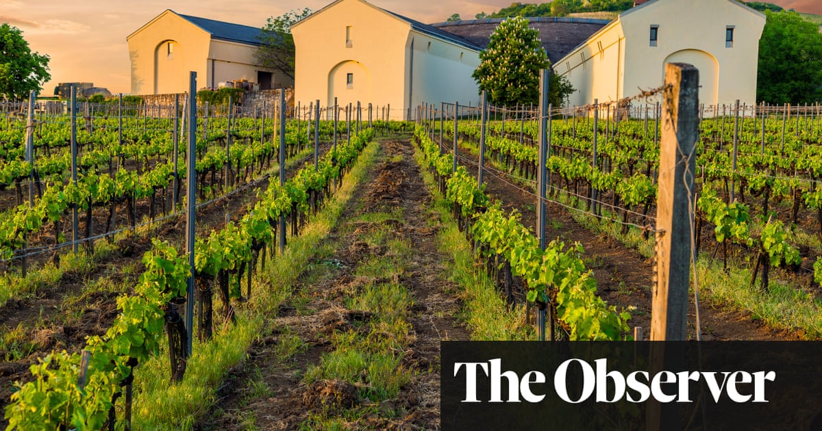 Let's talk about Tokaji, the Hungarian wine that inspired Beethoven and Goethe